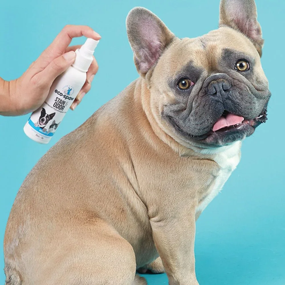PET STAIN & ODOR SPRAY Safe on fabrics and pets!